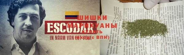 MDMA Карпинск