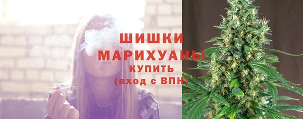 спайс Касимов