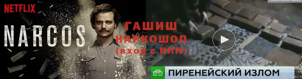 спайс Касимов