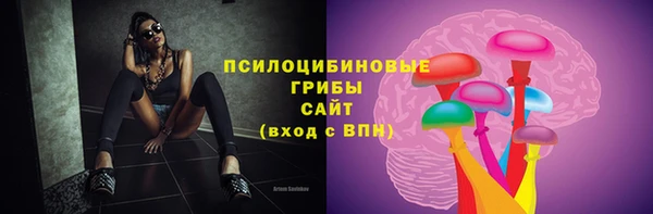 спайс Касимов