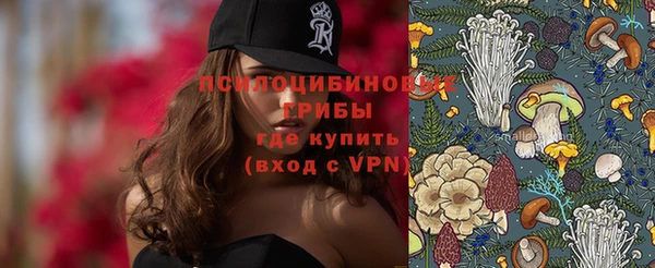 мдпв Кинешма