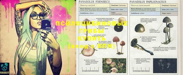 MDMA Карпинск